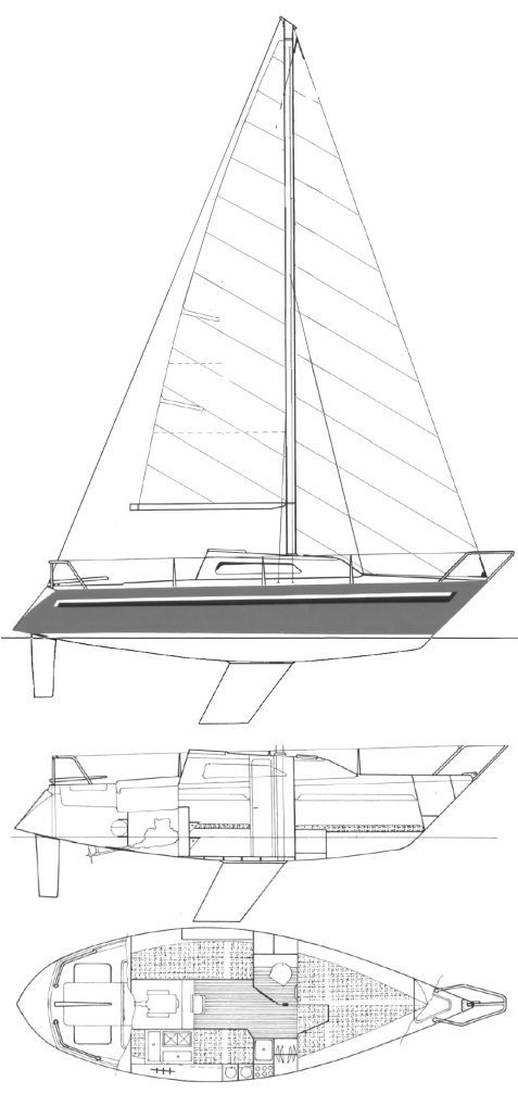 FURIA D25 (SANTARELLI) - Drawing