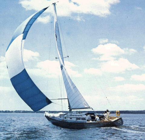 HINCKLEY 38 - Photo