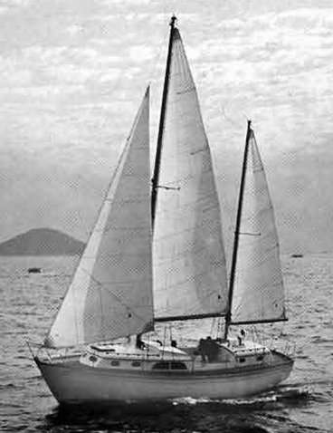 MIDSHIPMAN 36 (CHEOY LEE) - Photo