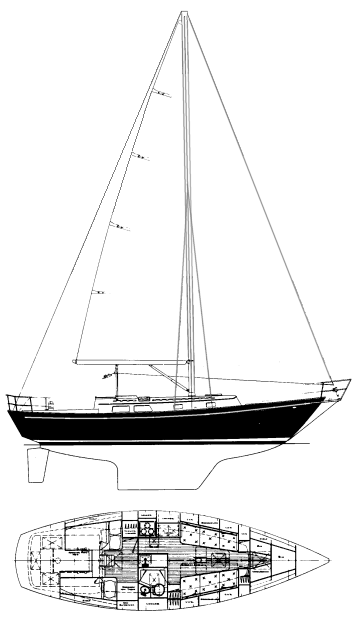 NIAGARA 35 - Drawing