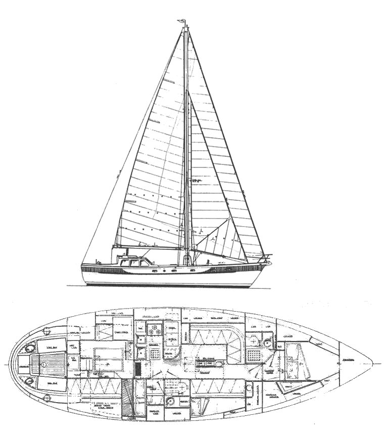 OCEANIC 43 - Drawing