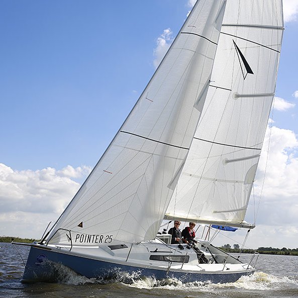 POINTER 25 - Photo