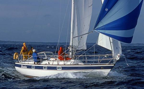 HALLBERG-RASSY 312 - Photo