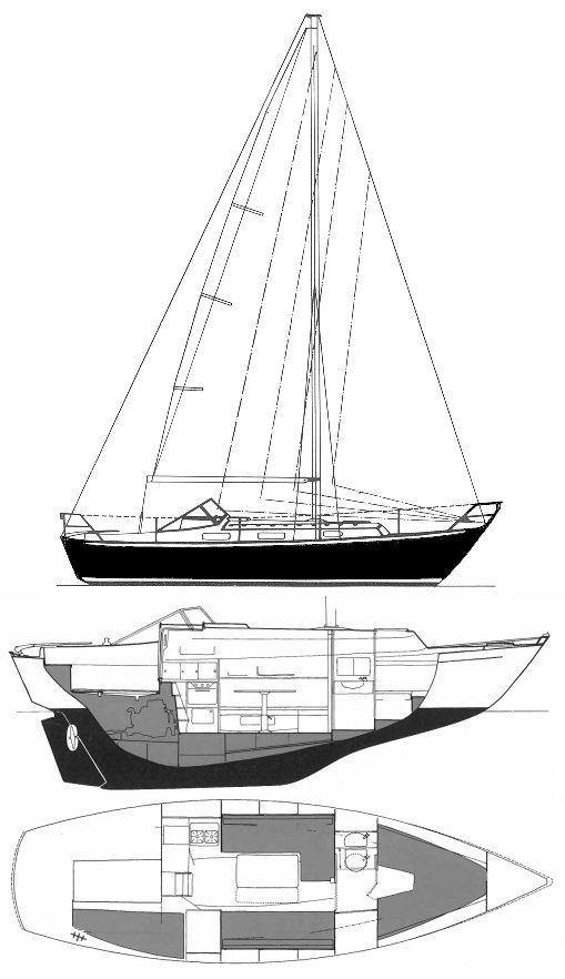 MONSUN 31 - Drawing