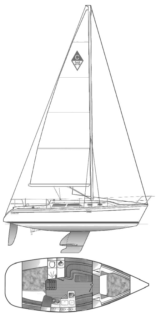 CATALINA 310 - Drawing