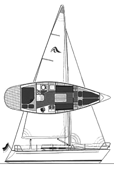 HANSE 300 - Drawing