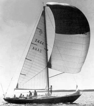 HINCKLEY 41 COMPETITION - Photo