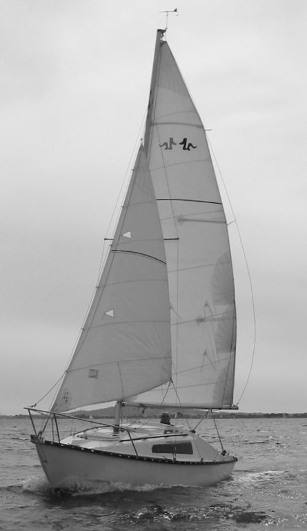 JIDZO - Photo