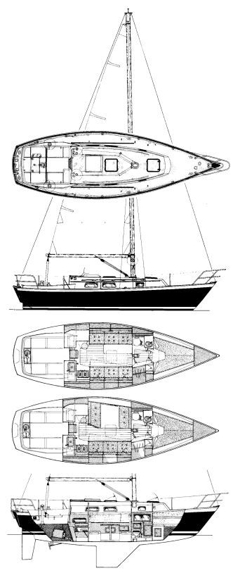 NIAGARA 31 - Drawing
