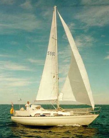 MURENA 30 - Photo