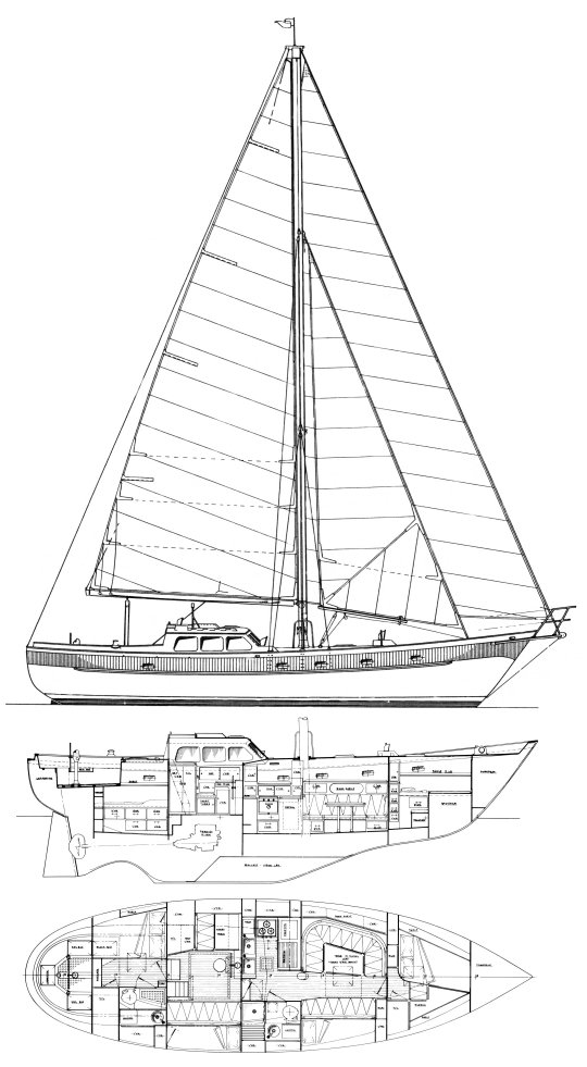 OCEANIC 46 (BREWER) - Drawing