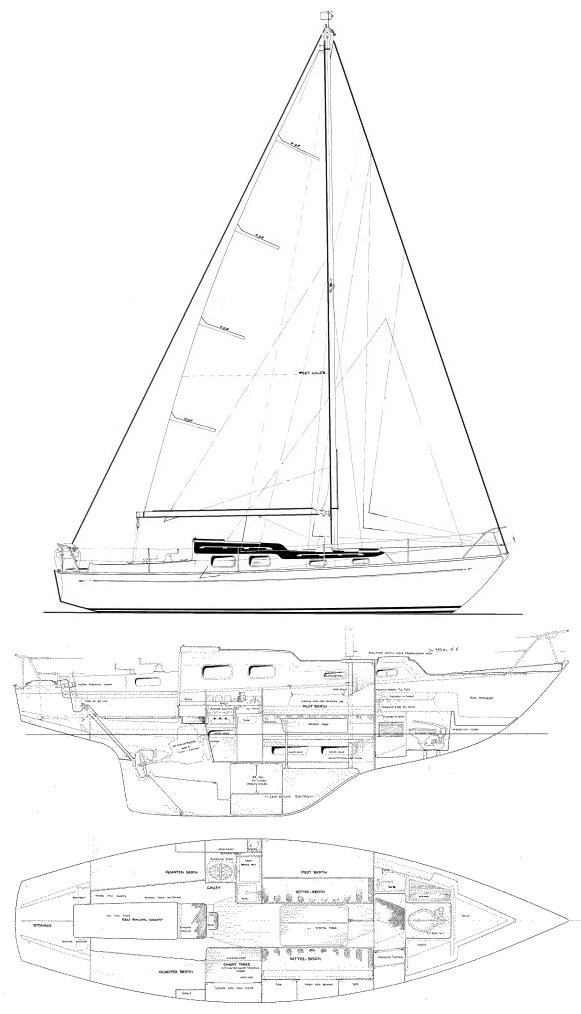 HARMONY 31 - Drawing
