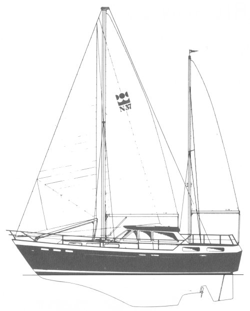 NELSON 37 - Drawing