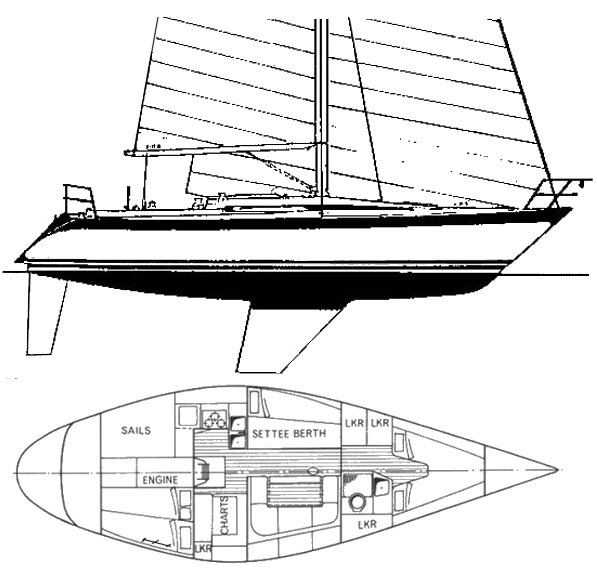 OYSTER 37 - Drawing