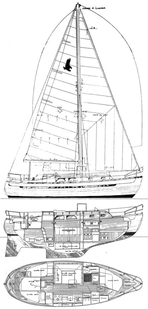 SEA EAGLE 31