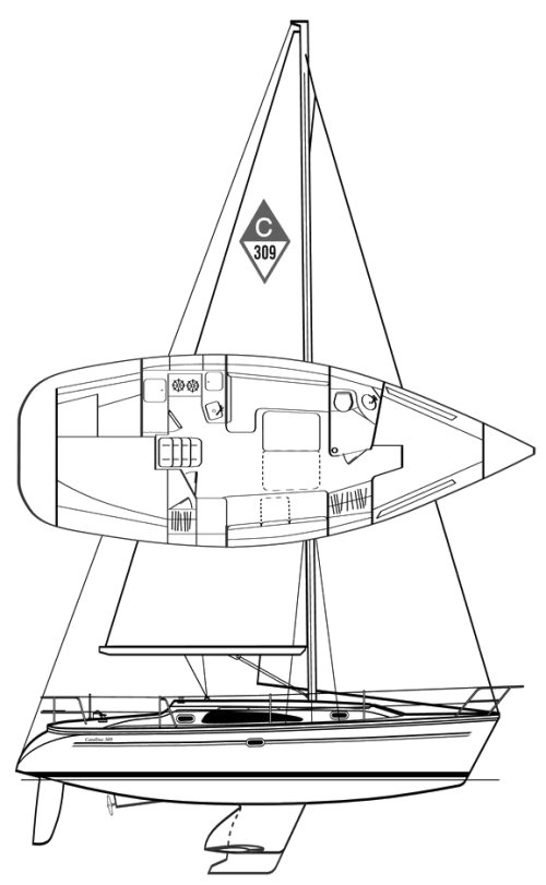 CATALINA 309 - Drawing