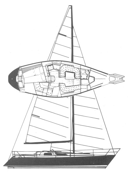 BALTIC 35 - Drawing