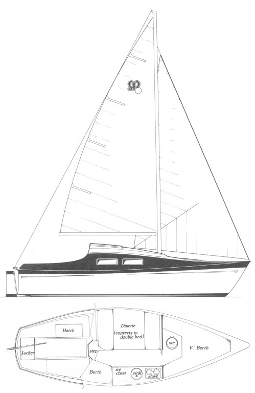 MONTEREY 24 - Drawing
