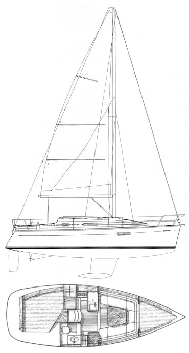 OCEANIS 281 (BENETEAU) - Drawing