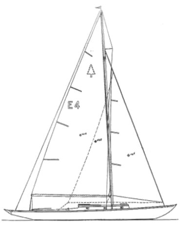 EVERGREEN (RHODES) - Drawing