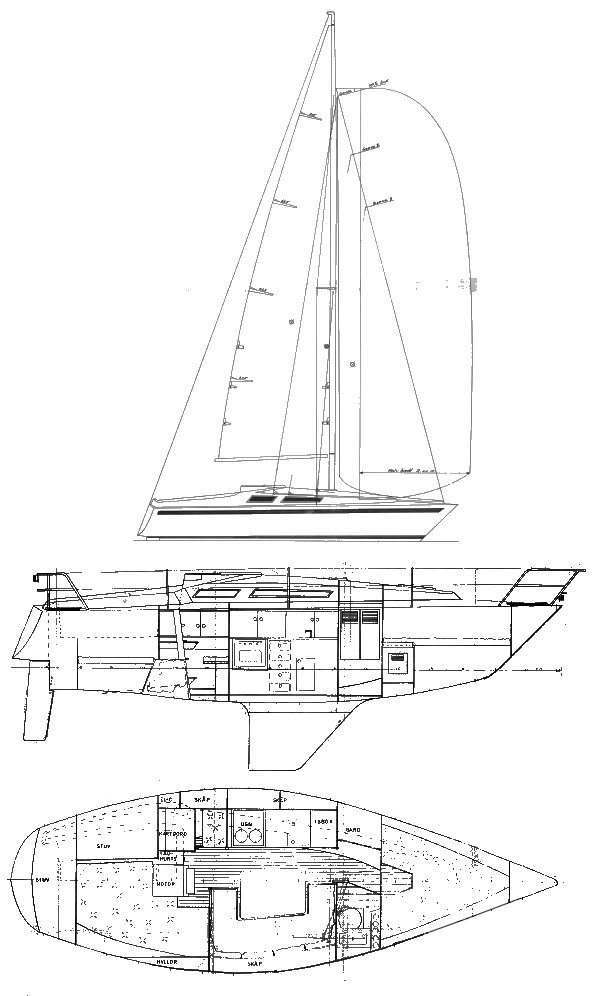 MAMBA 29 - Drawing
