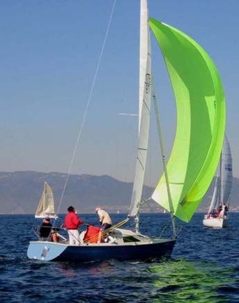 MARTIN 242 - Photo