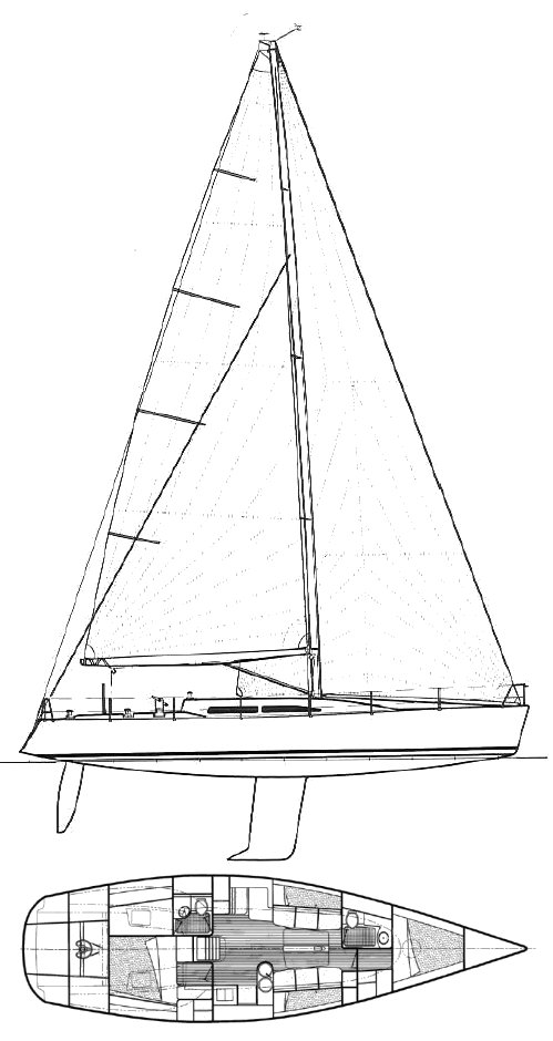 NELSON MAREK 46 - Drawing