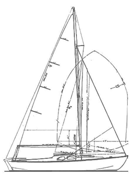 BLUEBIRD 22 - Drawing