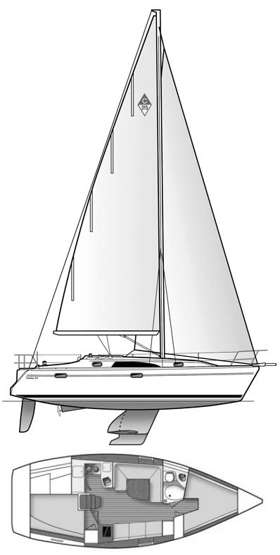 CATALINA 315 - Drawing
