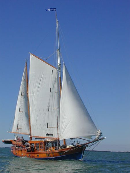 MAYFLOWER 40 - Photo