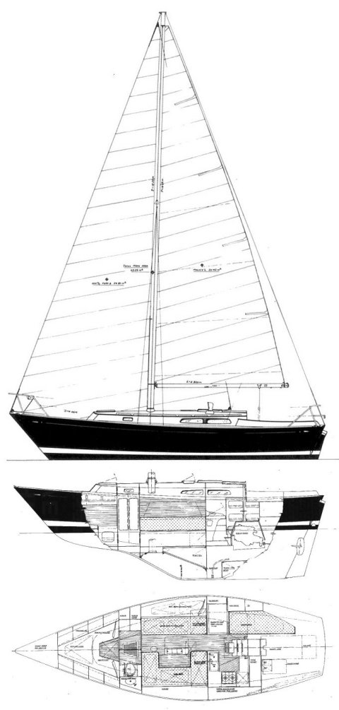 MORGAN 31 (LAVRANOS) - Drawing