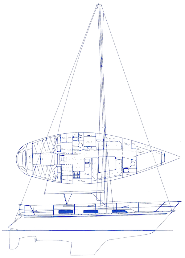 PHANTOM 40 (SHEIN) - Drawing