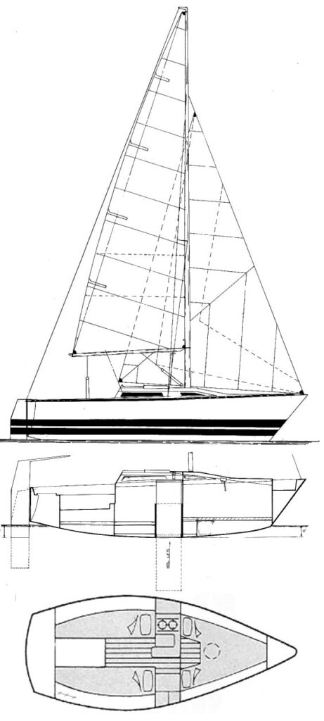 EVOLUTION 19 - Drawing