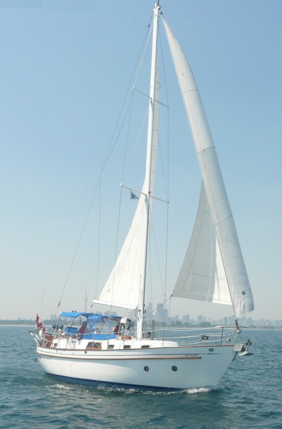 FANTASIA 35 (BINGHAM) - Photo