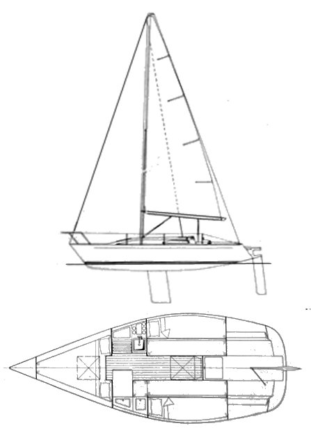 KELLEY 24 - Drawing