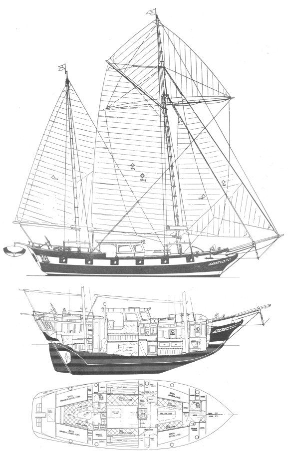 MAYFLOWER 40 - Drawing