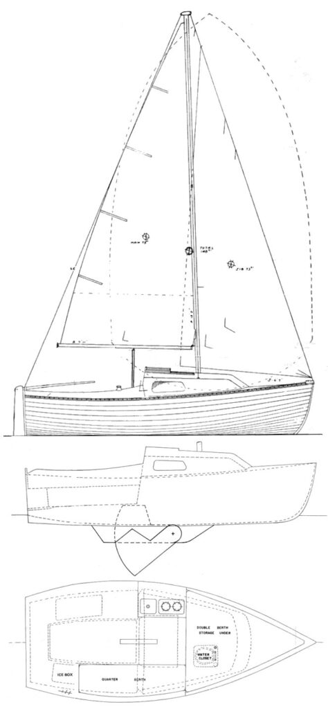 MONTGOMERY 17 - Drawing