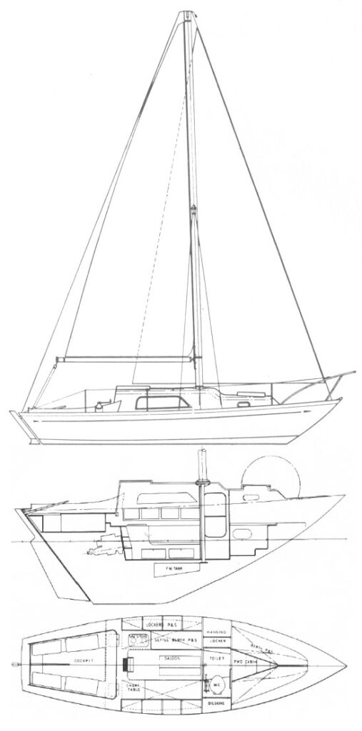 NICHOLSON 26 - Drawing