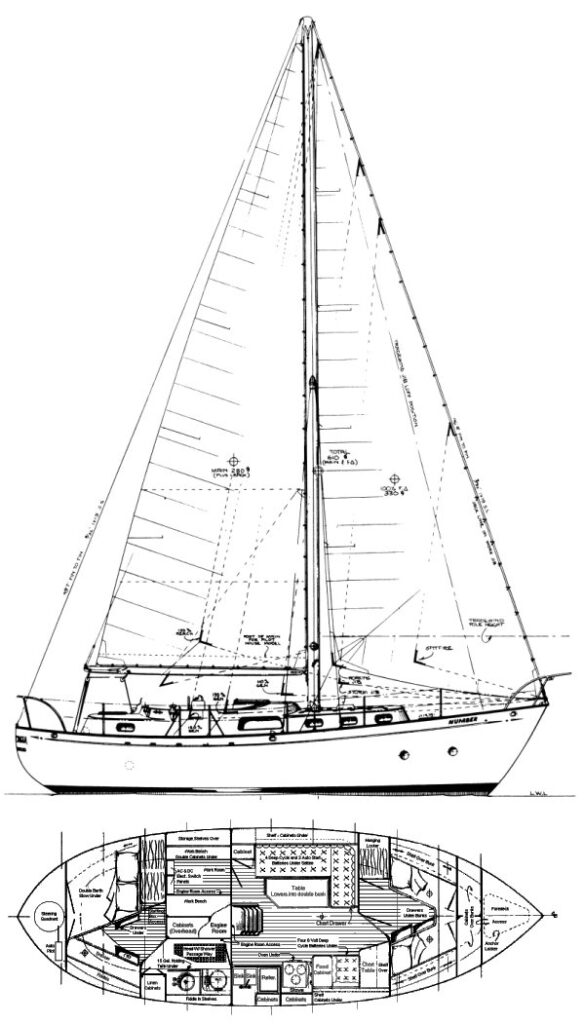 FANTASIA 35 (BINGHAM) - Drawing