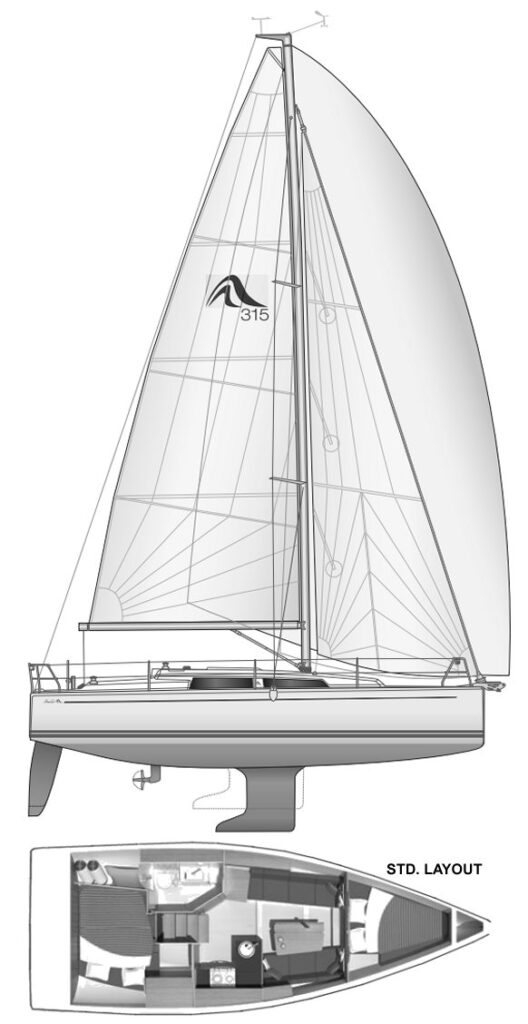 HANSE 315 - Drawing