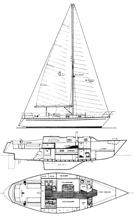 KELLEY 34 - Drawing