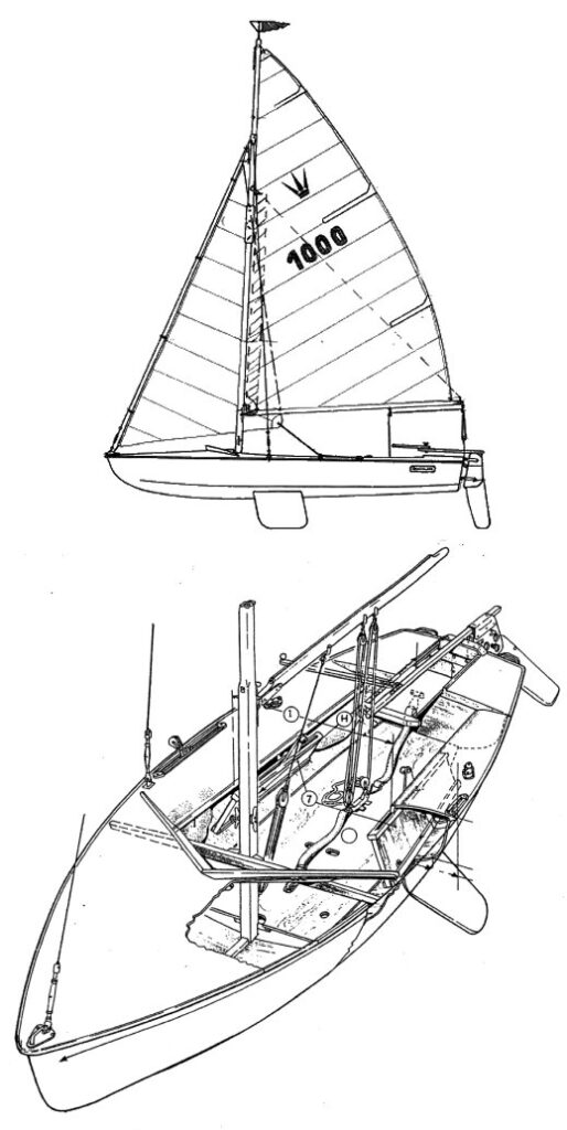 KORALLE - Drawing