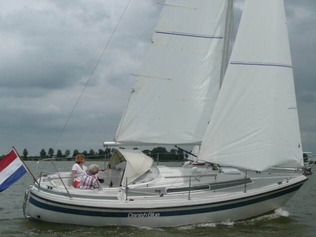 LM 81 - Photo