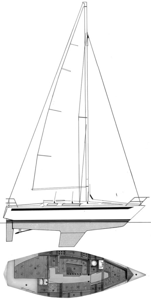 MAMBA 311 - Drawing