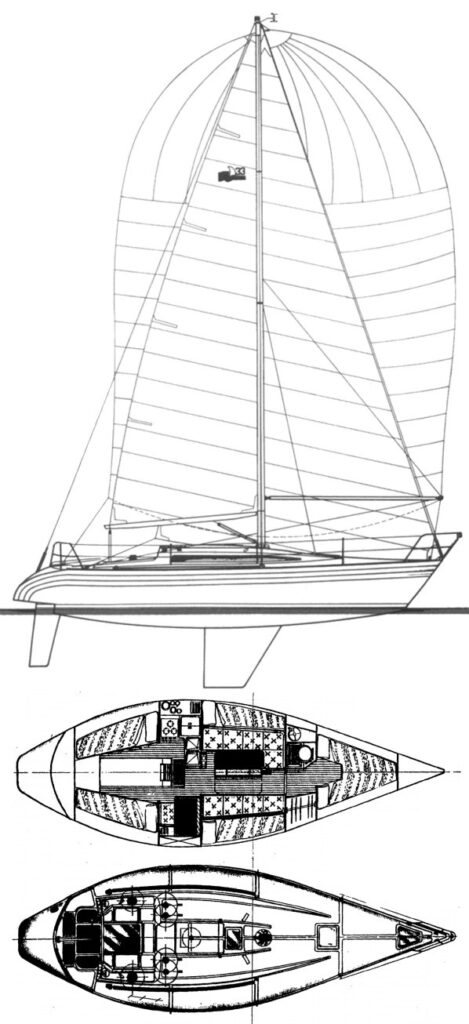 POLARIS 33 (HOLLAND) - Drawing