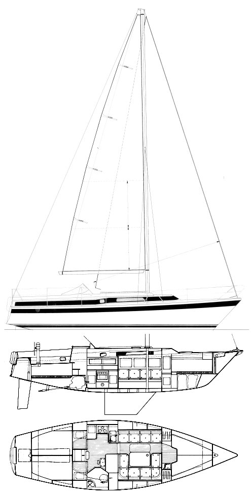 DEHLER 37 - Drawing