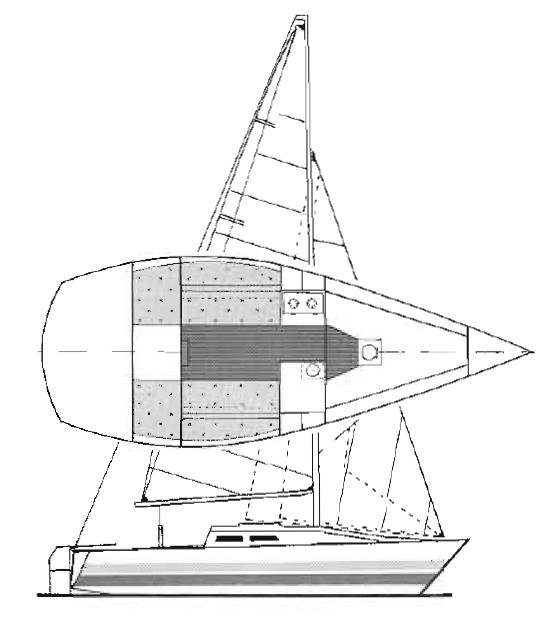 EVOLUTION 22 - Drawing