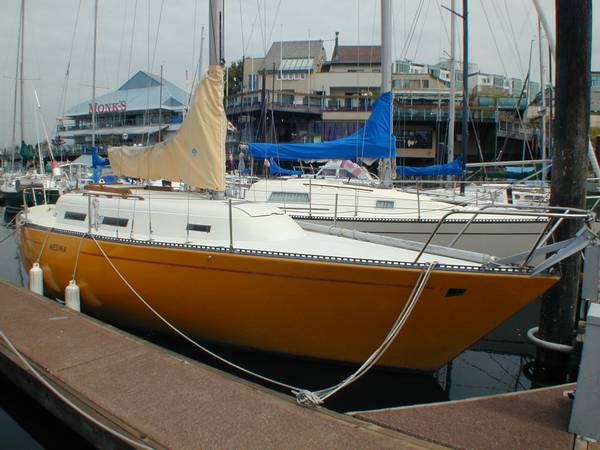 MARTIN 29 - Photo