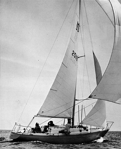 MORGAN 33 - Photo