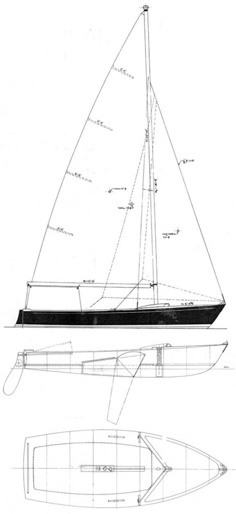 MUSTANG 17 - Drawing